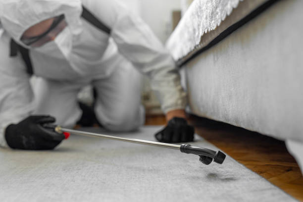 Professional Pest Control technician working in Page County County, VA